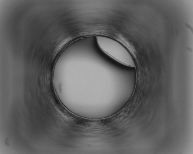 X0000092100107200709121117
