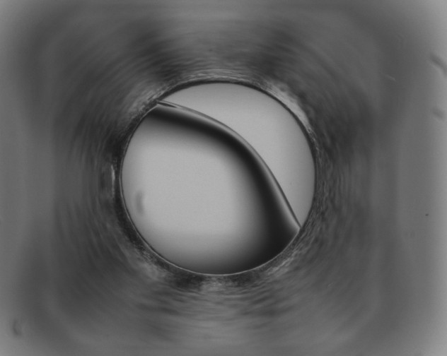X0000092100109200709121117