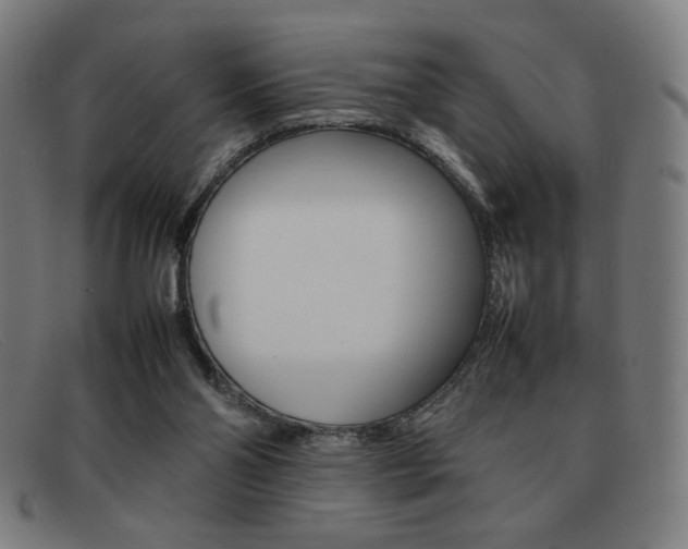 X0000092100110200709121117