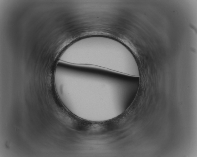 X0000092100111200709121117