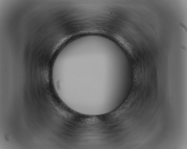 X0000092100112200709121117