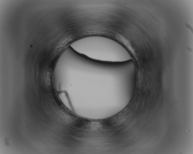 X0000092100114200709121117