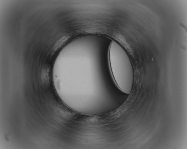 X0000092100116200709121117