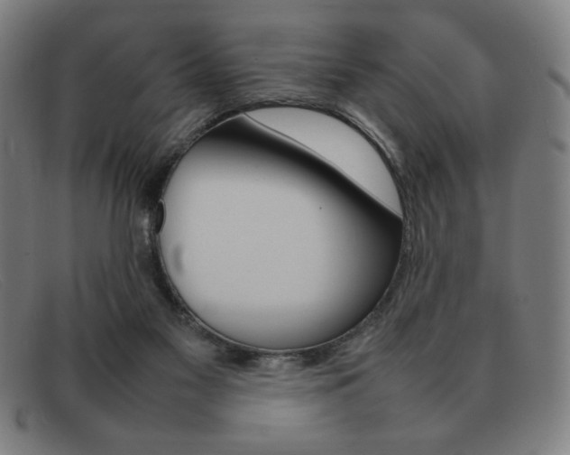 X0000092100117200709121117