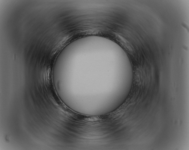 X0000092100118200709121117