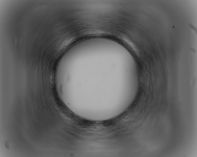 X0000092100119200709121117