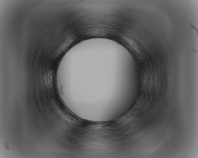 X0000092100120200709121117