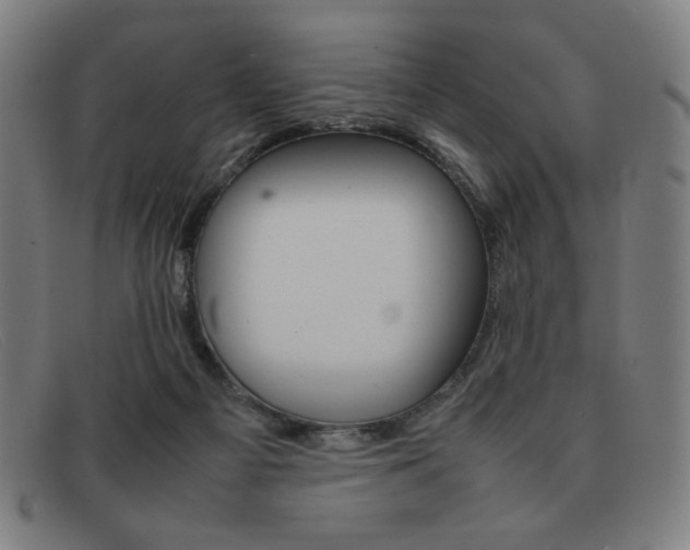 X0000092100121200709121117