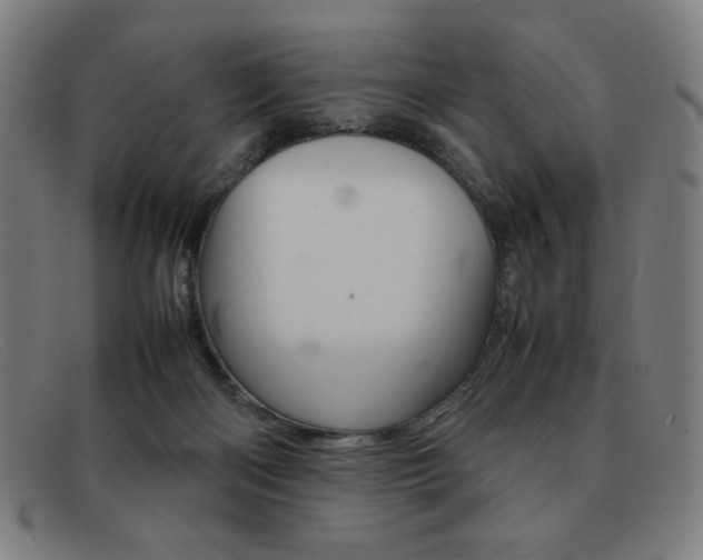 X0000092100122200709121117