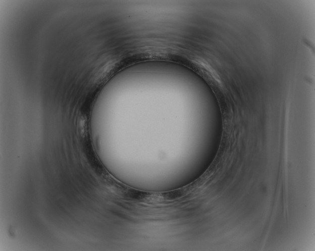 X0000092100123200709121117
