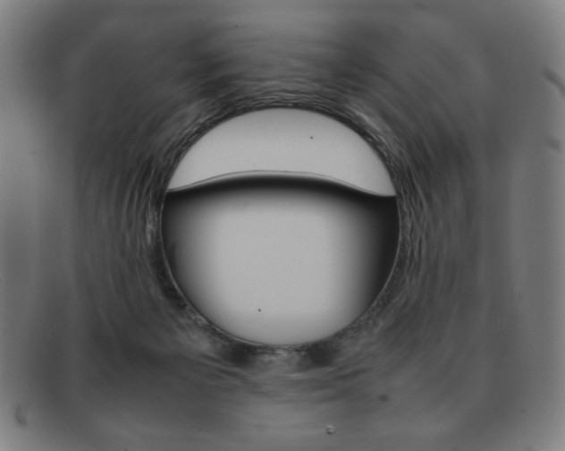 X0000092100125200709121117