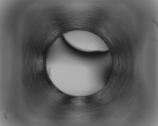 X0000092100128200709121117