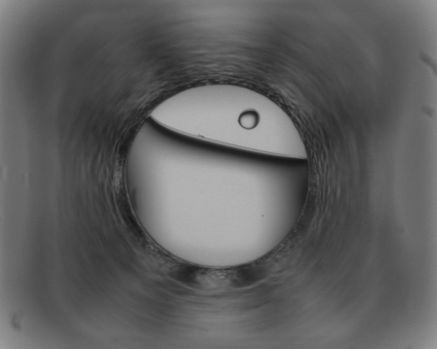X0000092100129200709121117