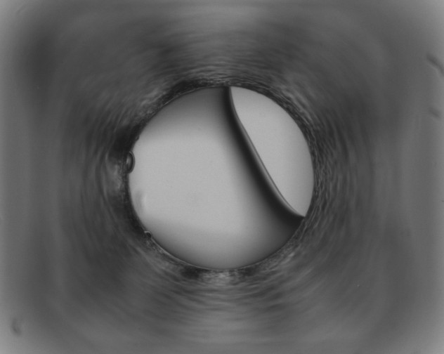 X0000092100131200709121117