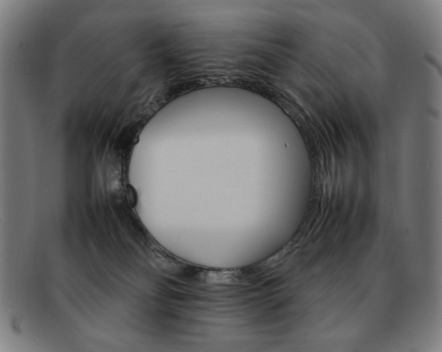X0000092100134200709121117