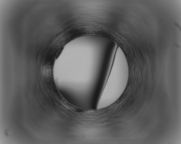 X0000092100137200709121117