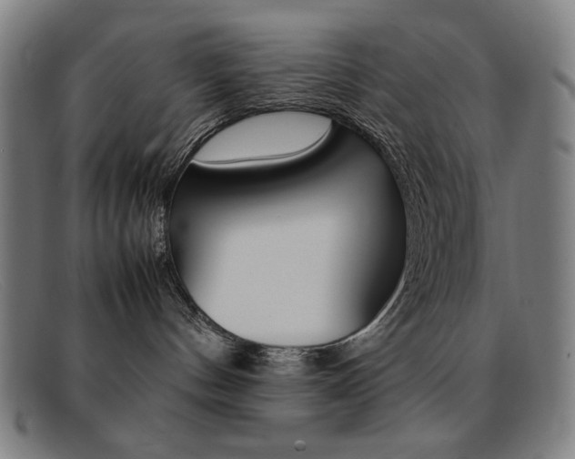 X0000092100144200709121117