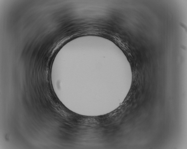 X0000092100146200709121116