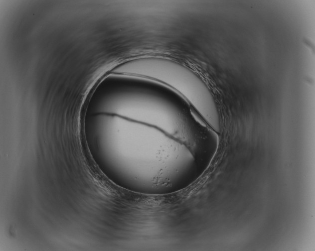 X0000092100148200709121116
