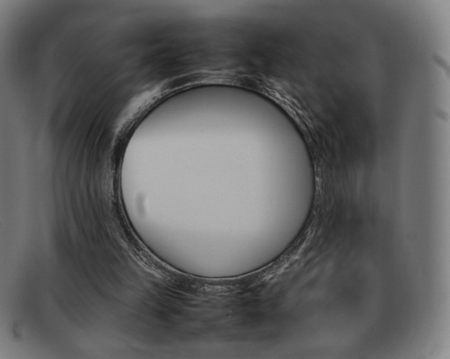 X0000092100149200709121116