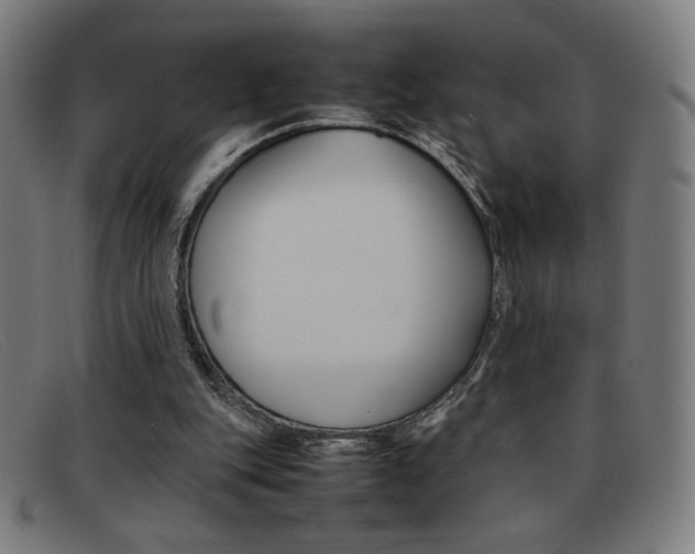 X0000092100151200709121117