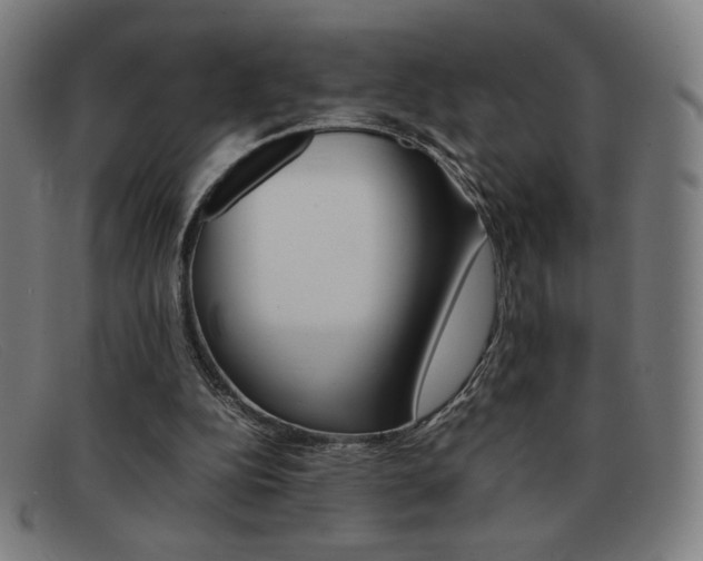 X0000092100152200709121117
