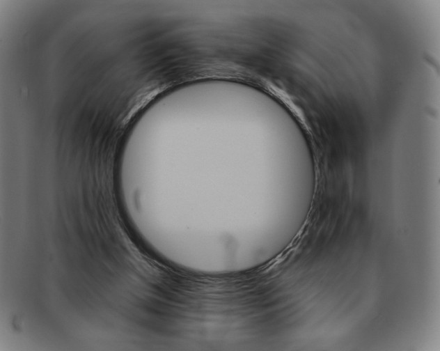 X0000092100154200709121117