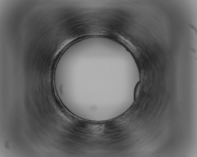 X0000092100155200709121117