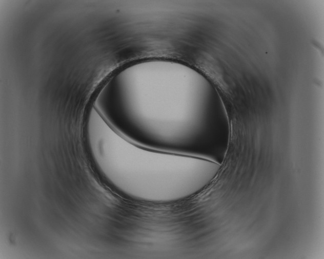 X0000092100156200709121117