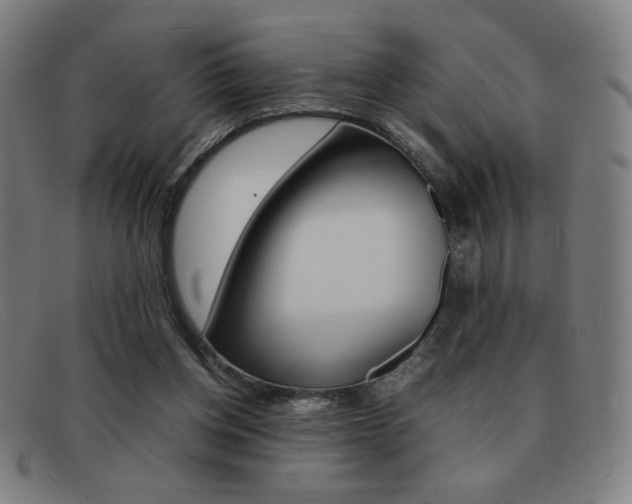 X0000092100158200709121117