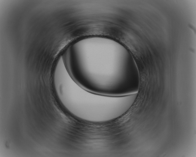 X0000092100160200709121117