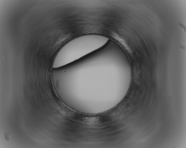 X0000092100161200709121117