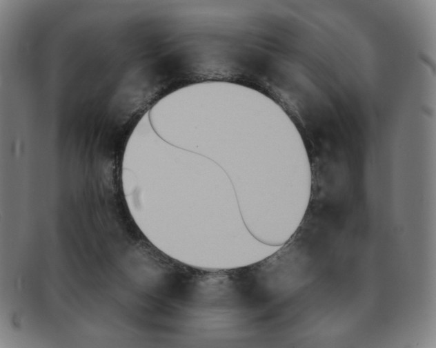 X0000092100162200709121117