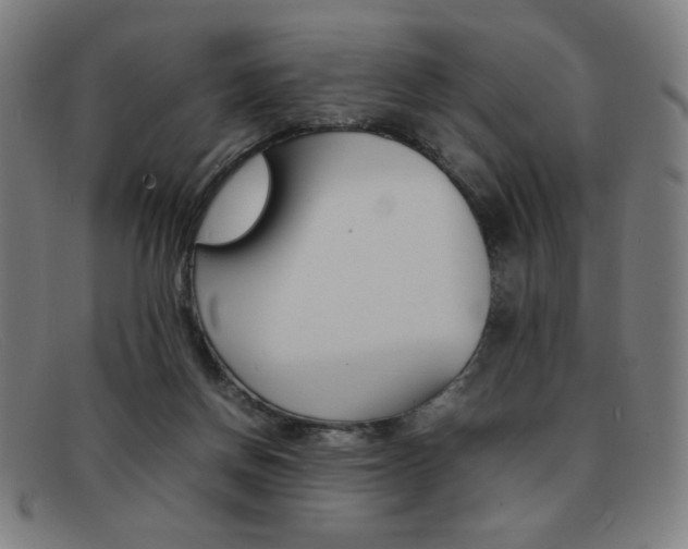 X0000092100166200709121117