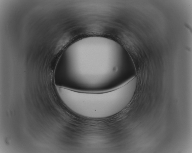 X0000092100168200709121117