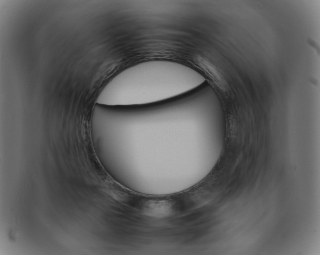 X0000092100169200709121117
