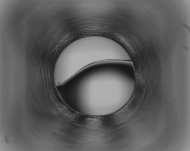 X0000092100170200709121117