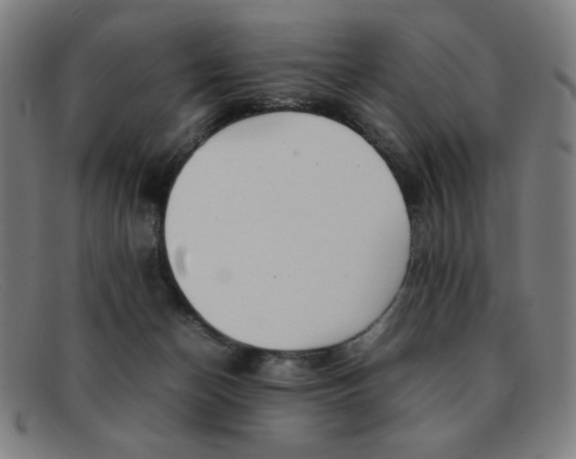 X0000092100174200709121117