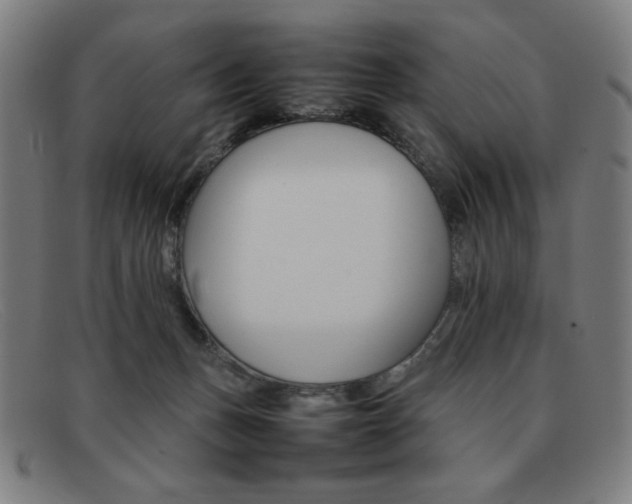 X0000092100175200709121117