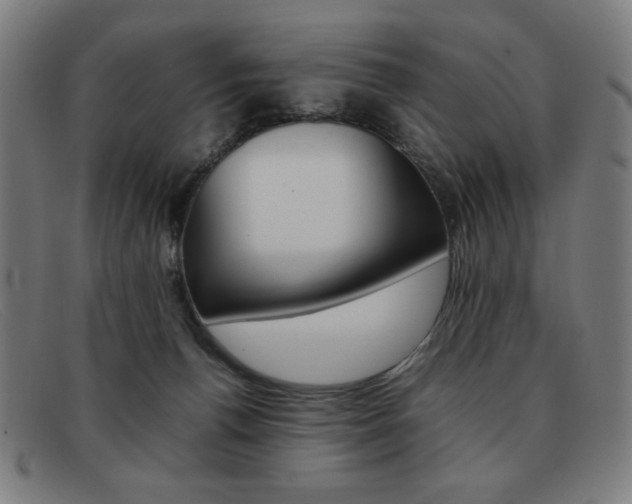 X0000092100176200709121117