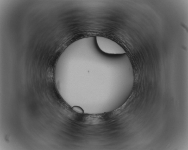 X0000092100179200709121117