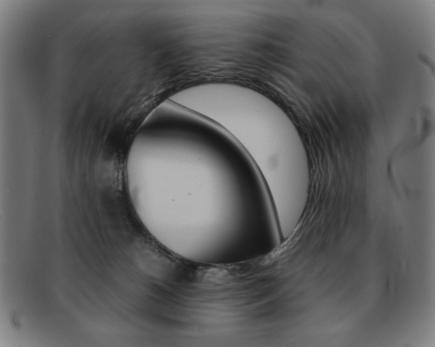 X0000092100180200709121117