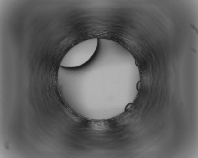 X0000092100181200709121117