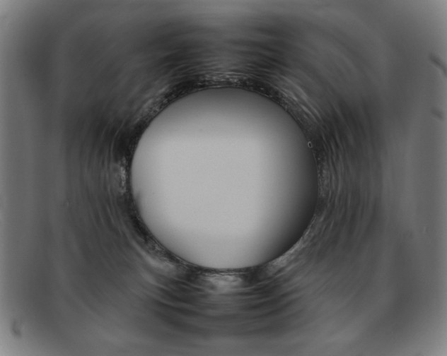 X0000092100183200709121117