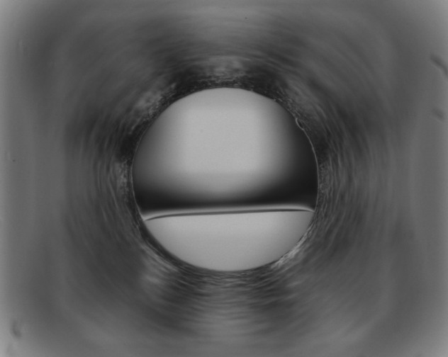 X0000092100184200709121117