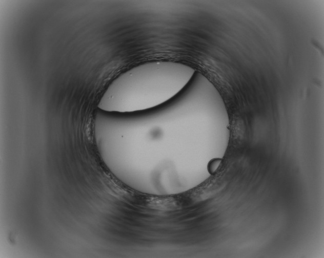 X0000092100185200709121117