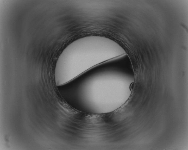 X0000092100186200709121117