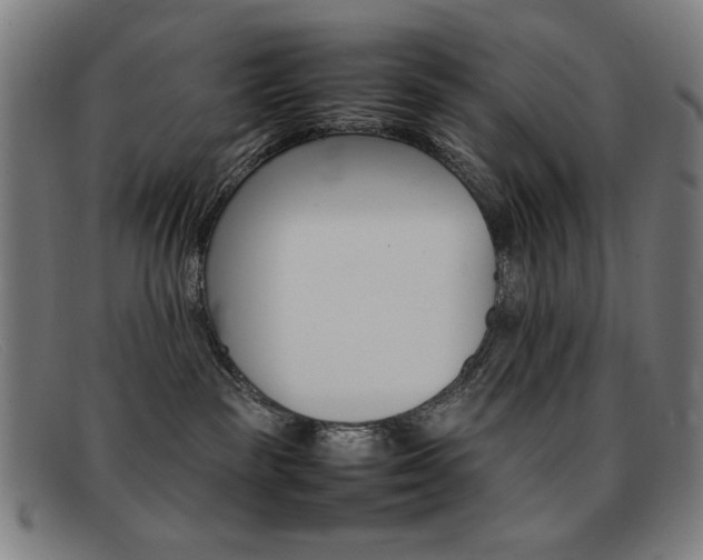 X0000092100189200709121117