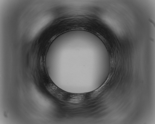 X0000092100191200709121117