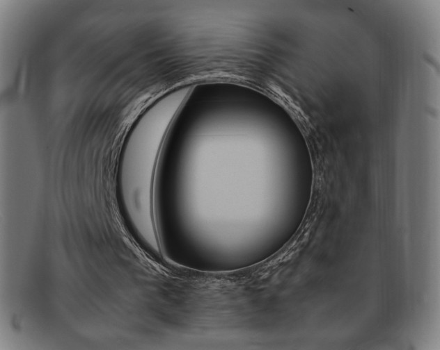 X0000092100193200709121116